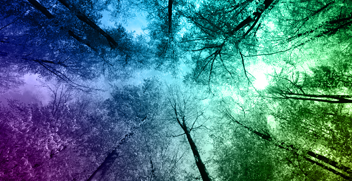 Committed to improving the world