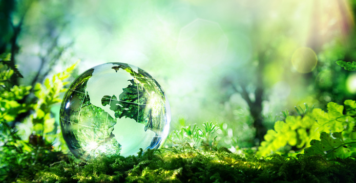 earth day forest greenery card