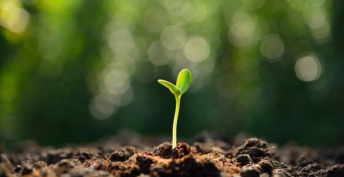 Green sprout greenwashing card