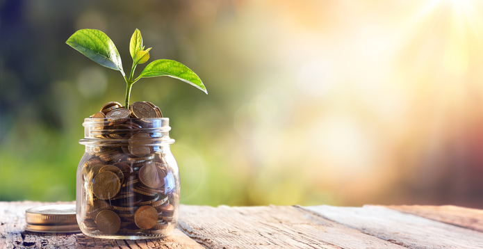 Plant sprouting from jar of coins