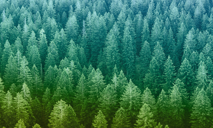 RE_NZ_ART11_pullout_700x420px_V1