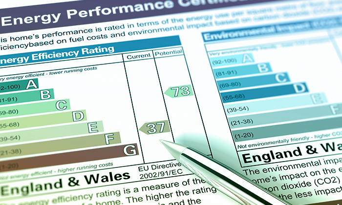 RE_NZ_ART4_pullout_700x420px_V1