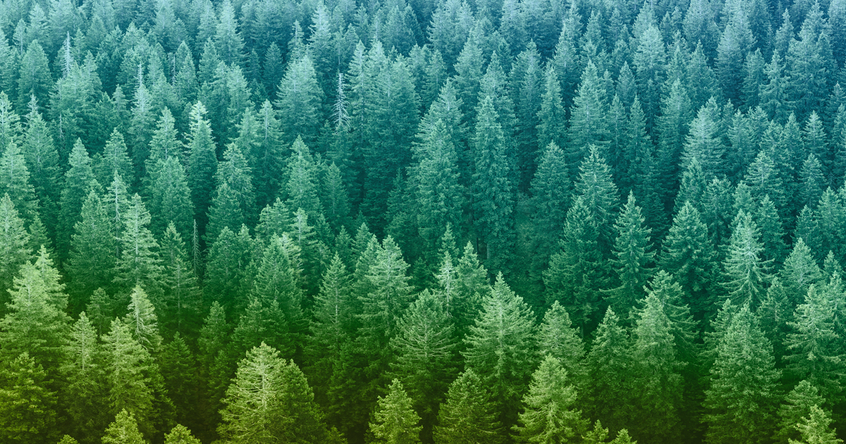 RE_NZ_ART11_SEO_1200x630_V1