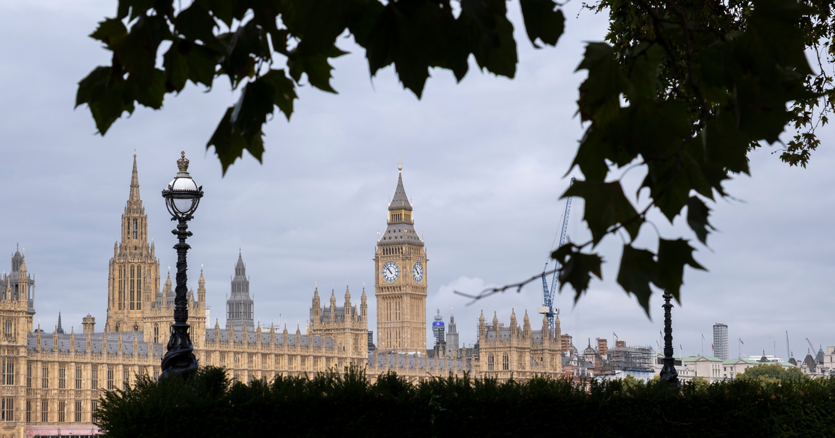 UK parliament framed by trees SEO