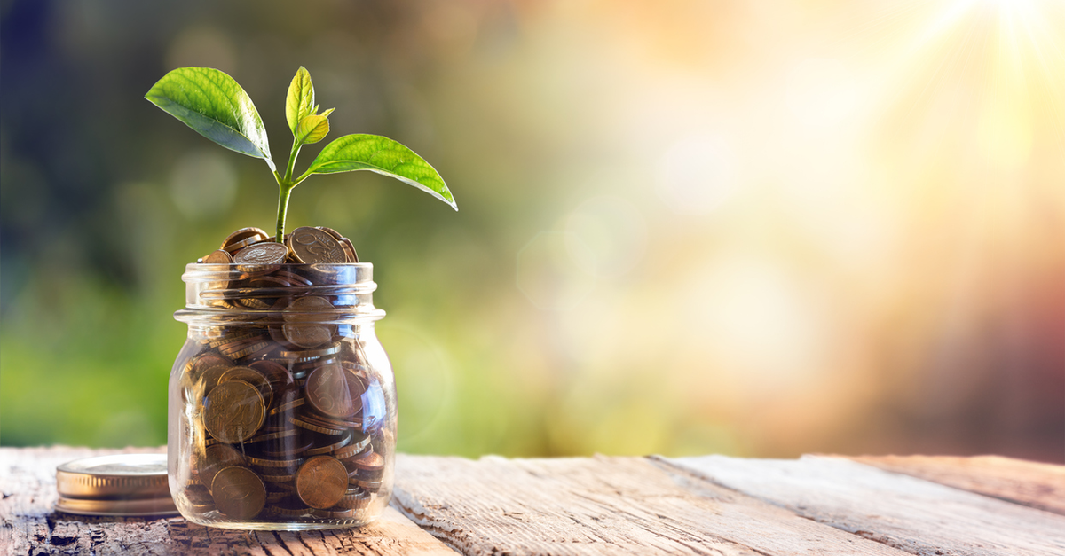 Plant growing out of jar of coins