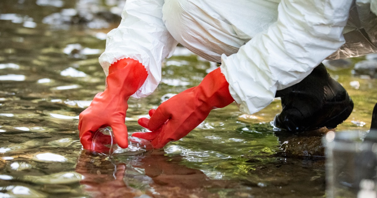 Scientist examining toxic water samples