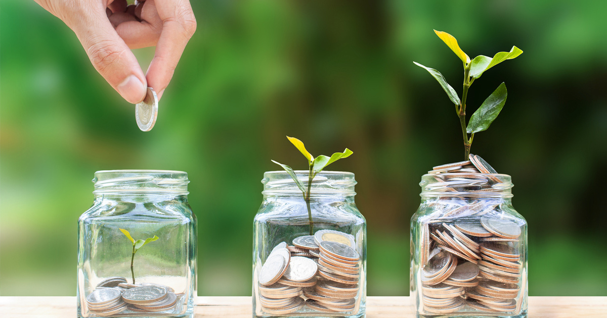 sprouting plants investment growth