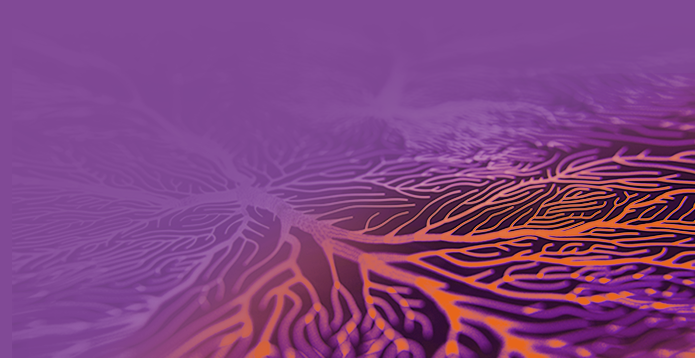 1465682_Reed Mobility 695 x 358px v1