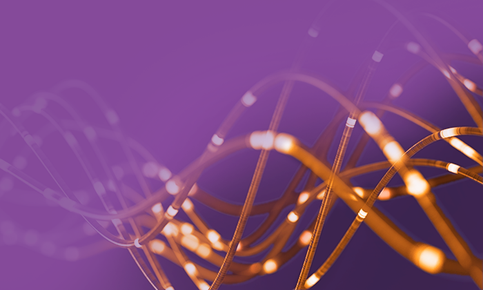 Telecommunications PO 700 x 420px v1